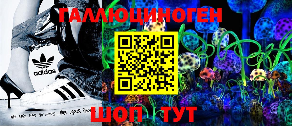 Псилоцибиновые грибы Psilocybine cubensis Бузулук