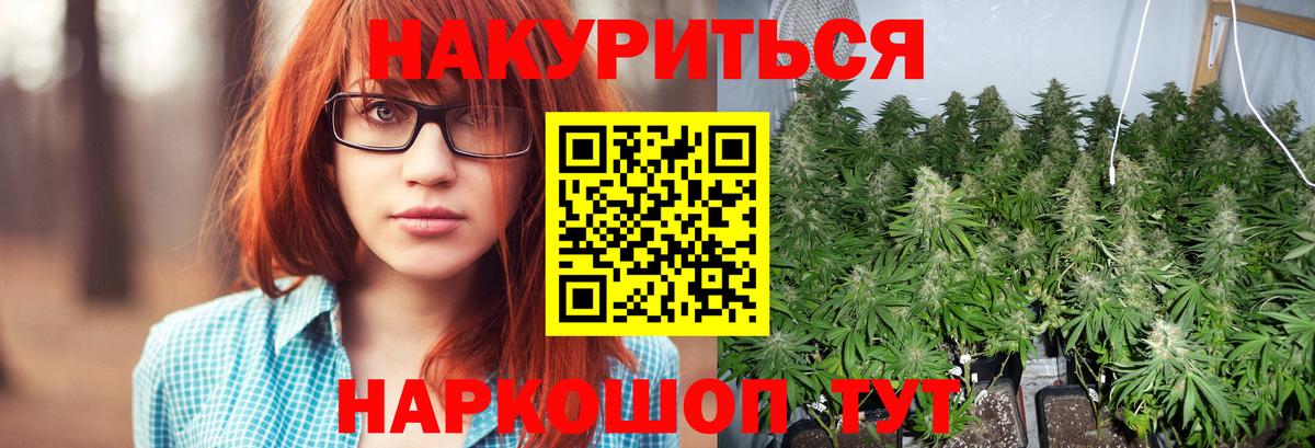 Шишки марихуана OG Kush Бузулук